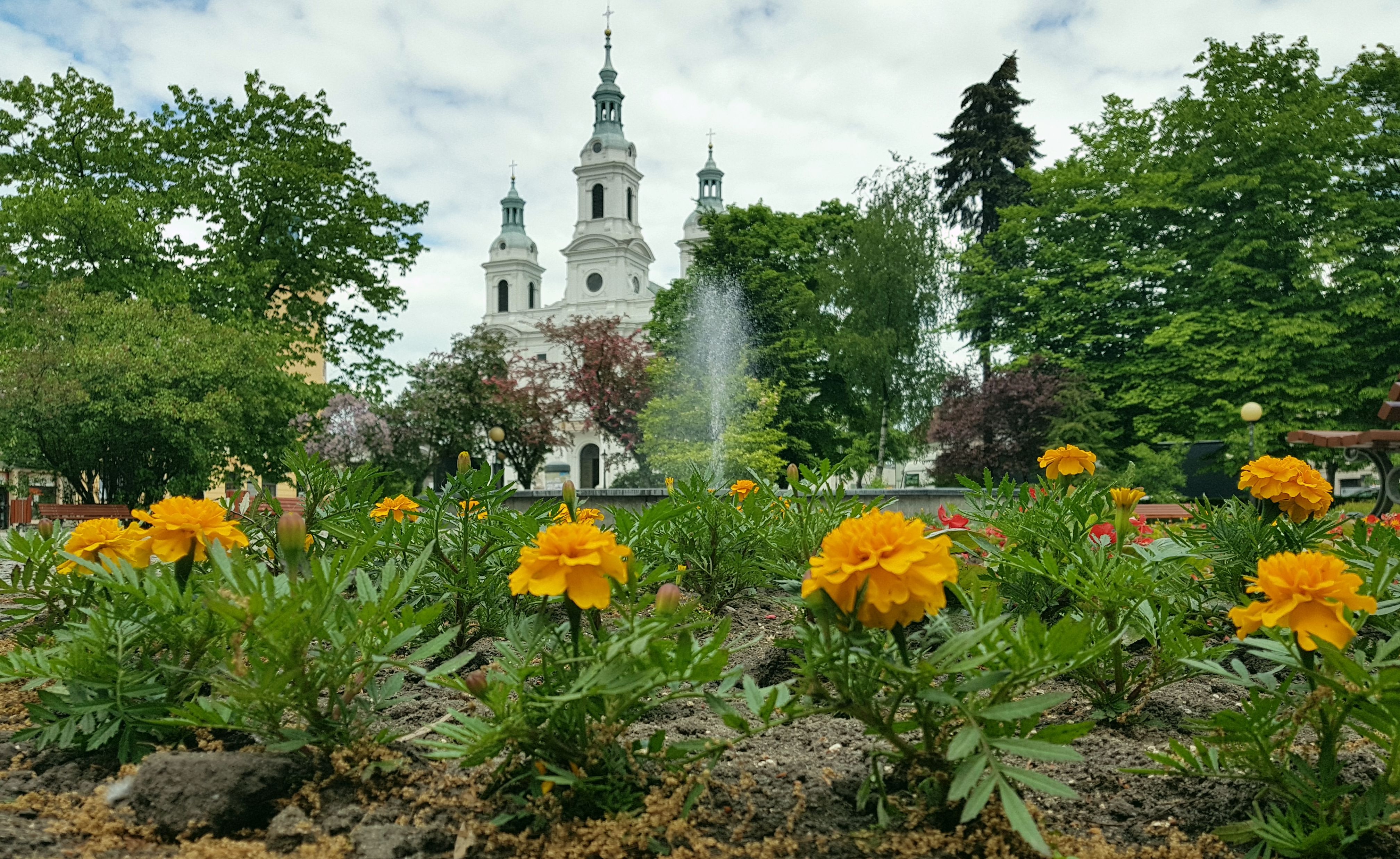 Tereny zielone priorytetem dla Radomska